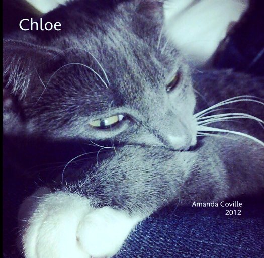 View Chloe by Amanda Coville
                                                                                                                2012