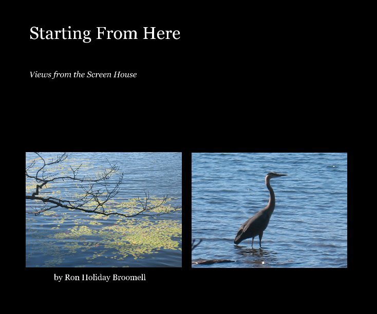 View Starting From Here by Ron Holiday Broomell