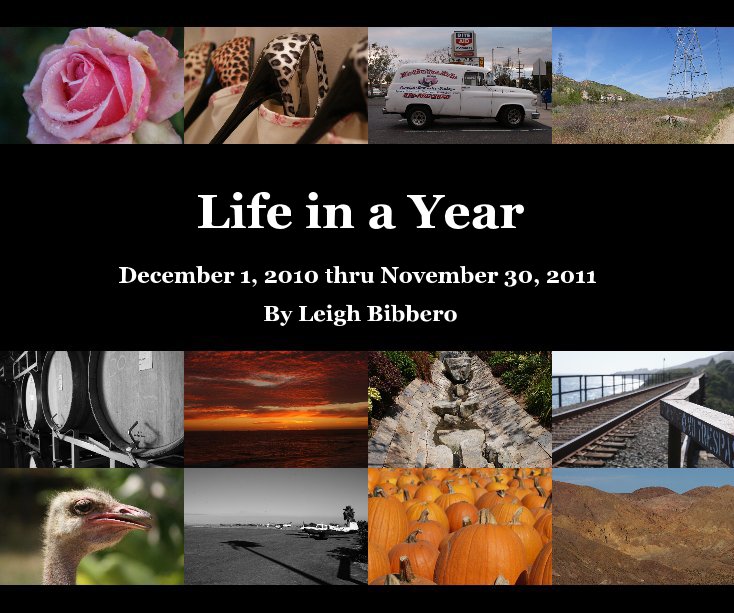 View Life in a Year by Leigh Bibbero