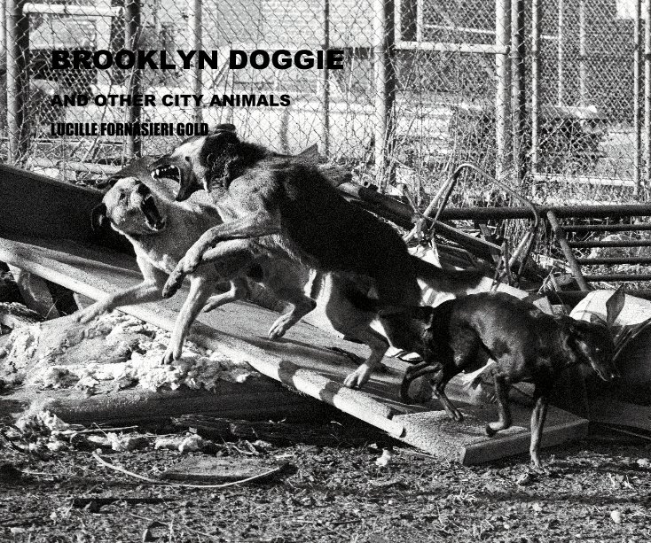 View BROOKLYN DOGGIE by LUCILLE FORNASIERI GOLD
