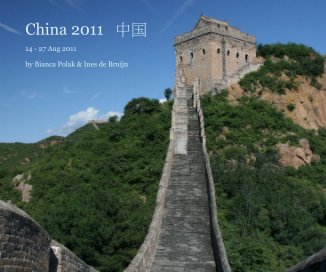 China 2011 中国 book cover