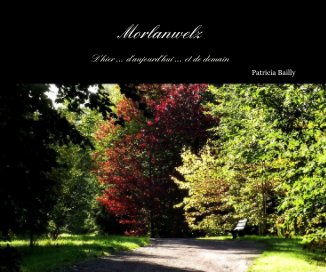 Morlanwelz book cover