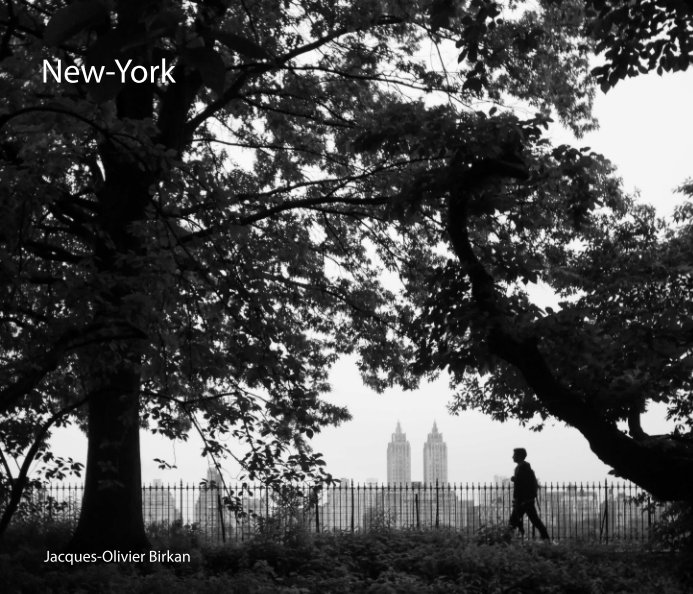 Ver New-York por Jacques-Olivier Birkan