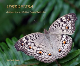LEPIDOPTERA book cover