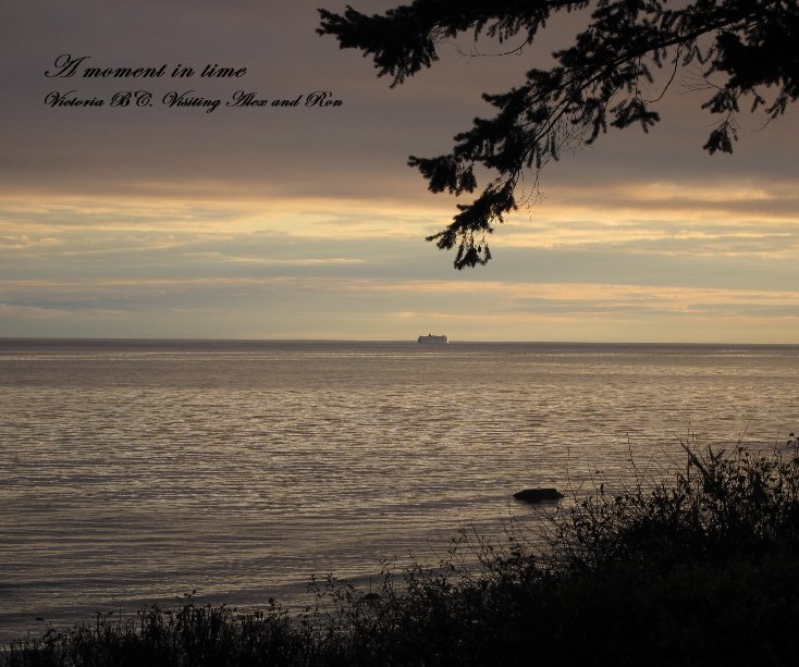 View A moment in time Victoria BC. Visiting Alex and Ron by Lidia Brandes