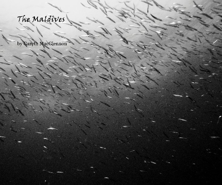 View The Maldives by Gareth MacGlennon