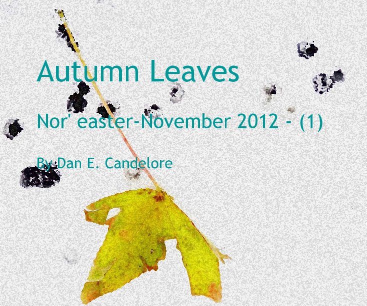 View Autumn Leaves by Noreaster-November 2012 - (1)