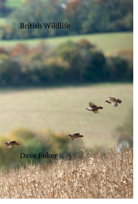 View British Wildlife by Dave Foker