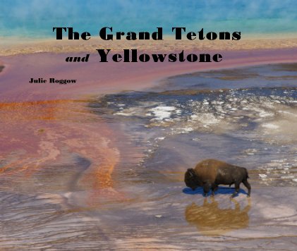 The Grand Tetons and Yellowstone A Photo Journey book cover