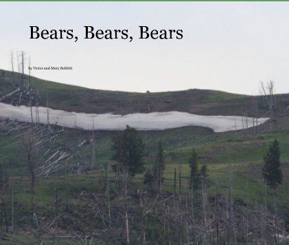Bears, Bears, Bears book cover