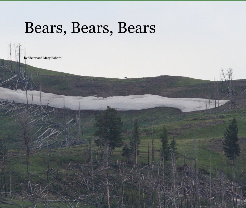 View Bears, Bears, Bears by Victor and Mary Bobbitt