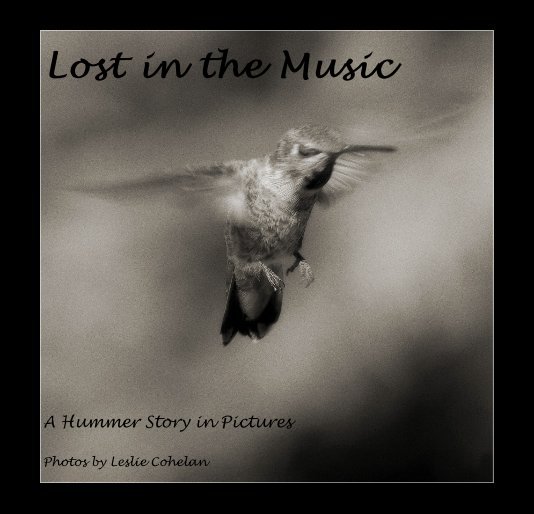 Ver Lost in the Music por Photos by Leslie Cohelan
