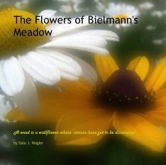 The Flowers of Bielmann's Meadow book cover
