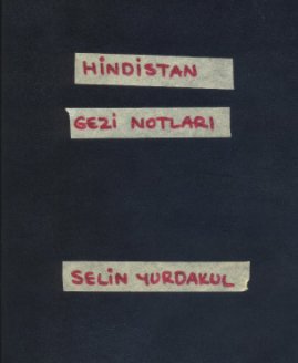 Hindistan Gezi Notları book cover