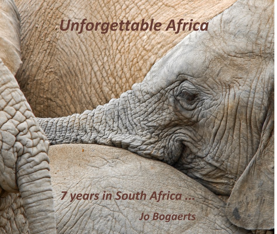 View Unforgettable Africa by Jo Bogaerts