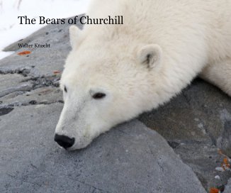 The Bears of Churchill book cover