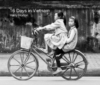 16 Days in Vietnam Harry Horton book cover
