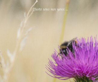 Juste sous nos yeux ... book cover