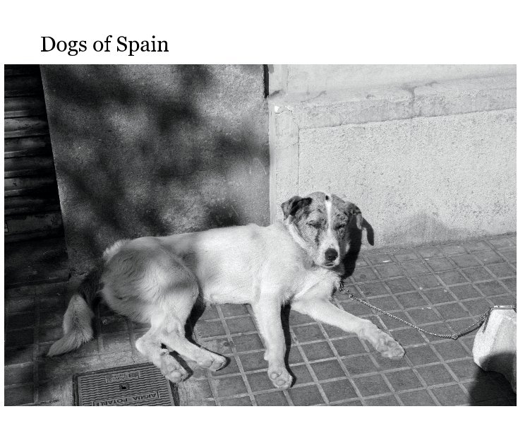 Ver Dogs of Spain por Mike Dewey