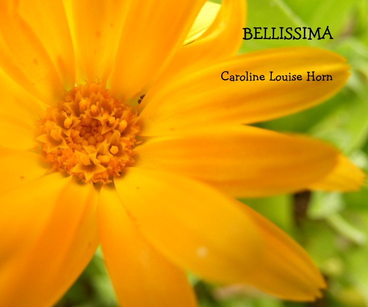 View BELLISSIMA by Caroline Louise Horn