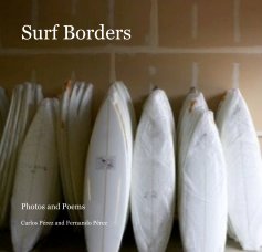 Surf Borders book cover