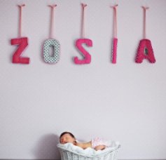 Zosia book cover