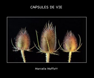 CAPSULES DE VIE book cover