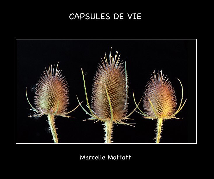 View CAPSULES DE VIE by Marcelle Moffatt
