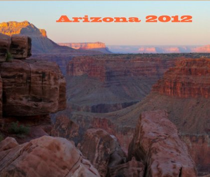 Arizona 2012 book cover