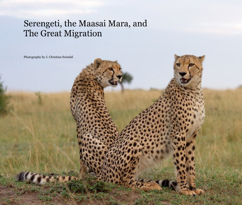 Ver Serengeti, the Maasai Mara, and The Great Migration por Photography by J. Christian Swindal