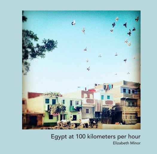 View Egypt at 100 kilometers per hour by Elizabeth Minor