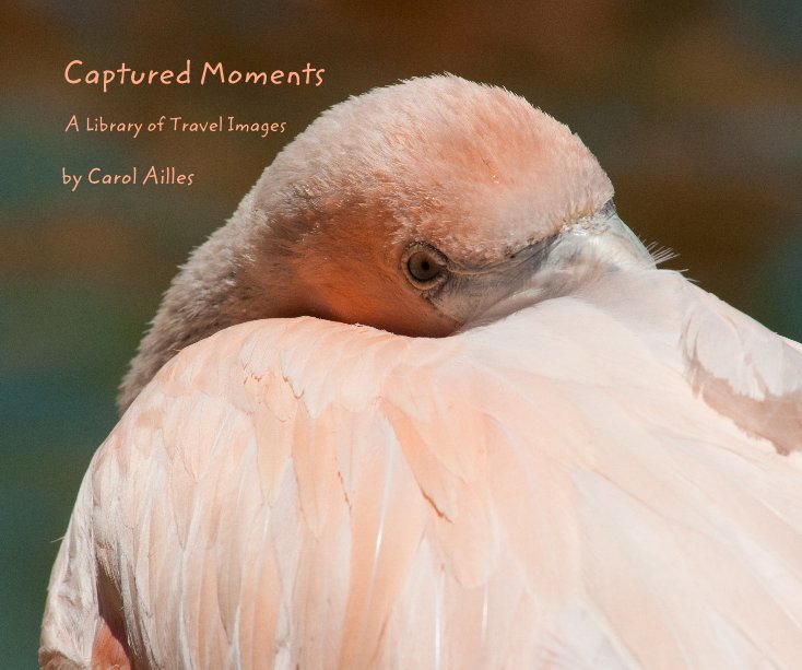 View Captured Moments by Carol Ailles