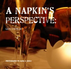 A Napkin's Perspective: Life Unfolds book cover