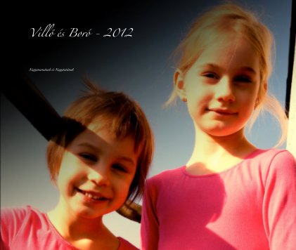 Villő és Boró - 2012 book cover