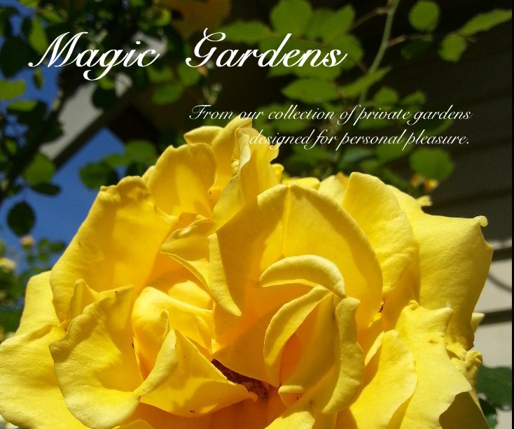 View Magic Gardens by peter billnigham