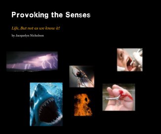 Provoking the Senses book cover