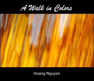 A Walk in Colors book cover