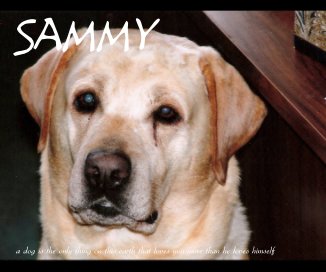 Sammy book cover