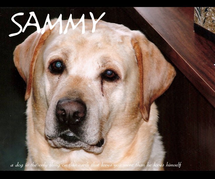 Ver Sammy por lguerrette