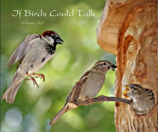 If Birds Could Talk book cover
