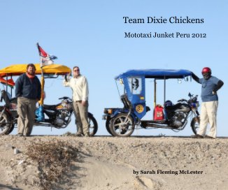 Team Dixie Chickens book cover