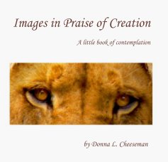 Images in Praise of Creation A little book of contemplation book cover