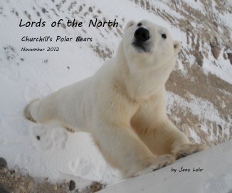 Lords of the North book cover