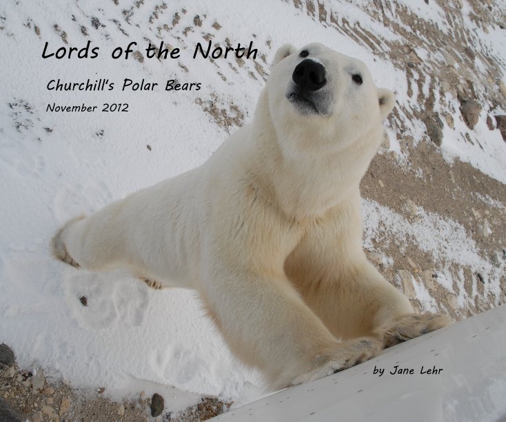 View Lords of the North by Jane Lehr