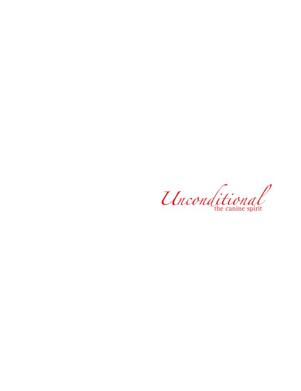 Visualizza Unconditional di Rebecca Wang