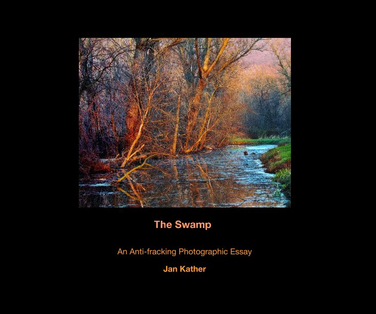Ver The Swamp por Jan Kather