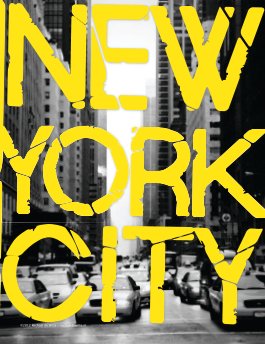 New York City book cover