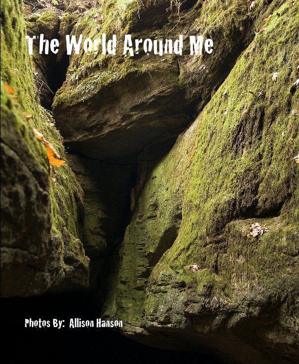 View The World Around Me by Photos By: Allison Hanson
