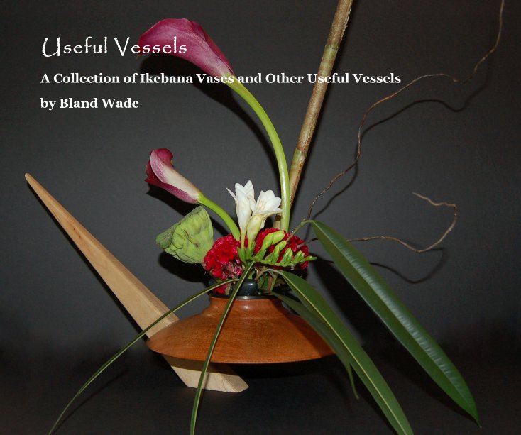 View Useful Vessels by Bland Wade