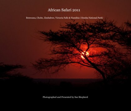 African Safari 2011 Botswana, Chobe, Zimbabwe, Victoria Falls & Namibia ( Etosha National Park) book cover